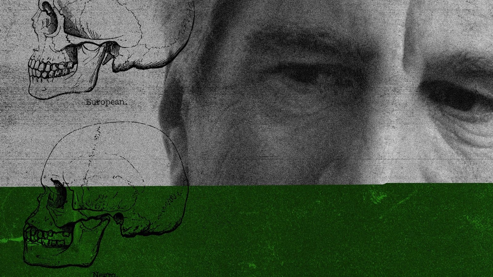 The Epstein Emails Show How the Powerful Talk About Race