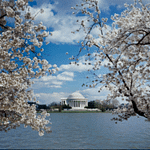 Trump’s DC Takeover Plan: False Claims & The Legal Roadblocks He Faces