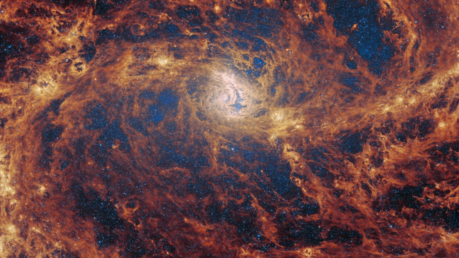 Looking for Signs of a Black Hole Looking for Signs of a Black Hole