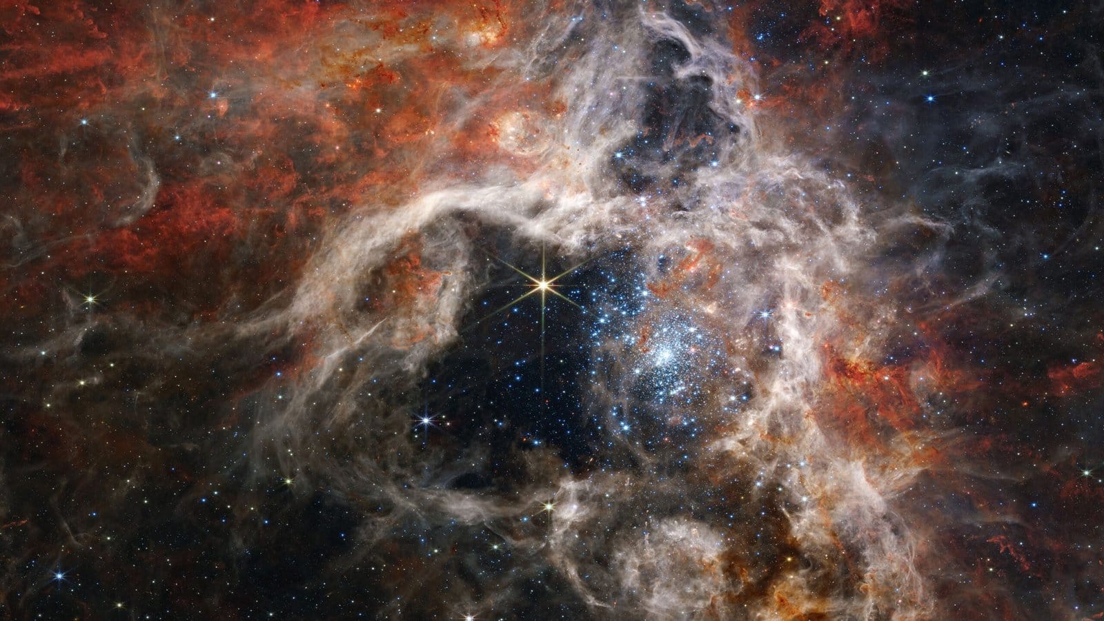 The Heart of a Tarantula