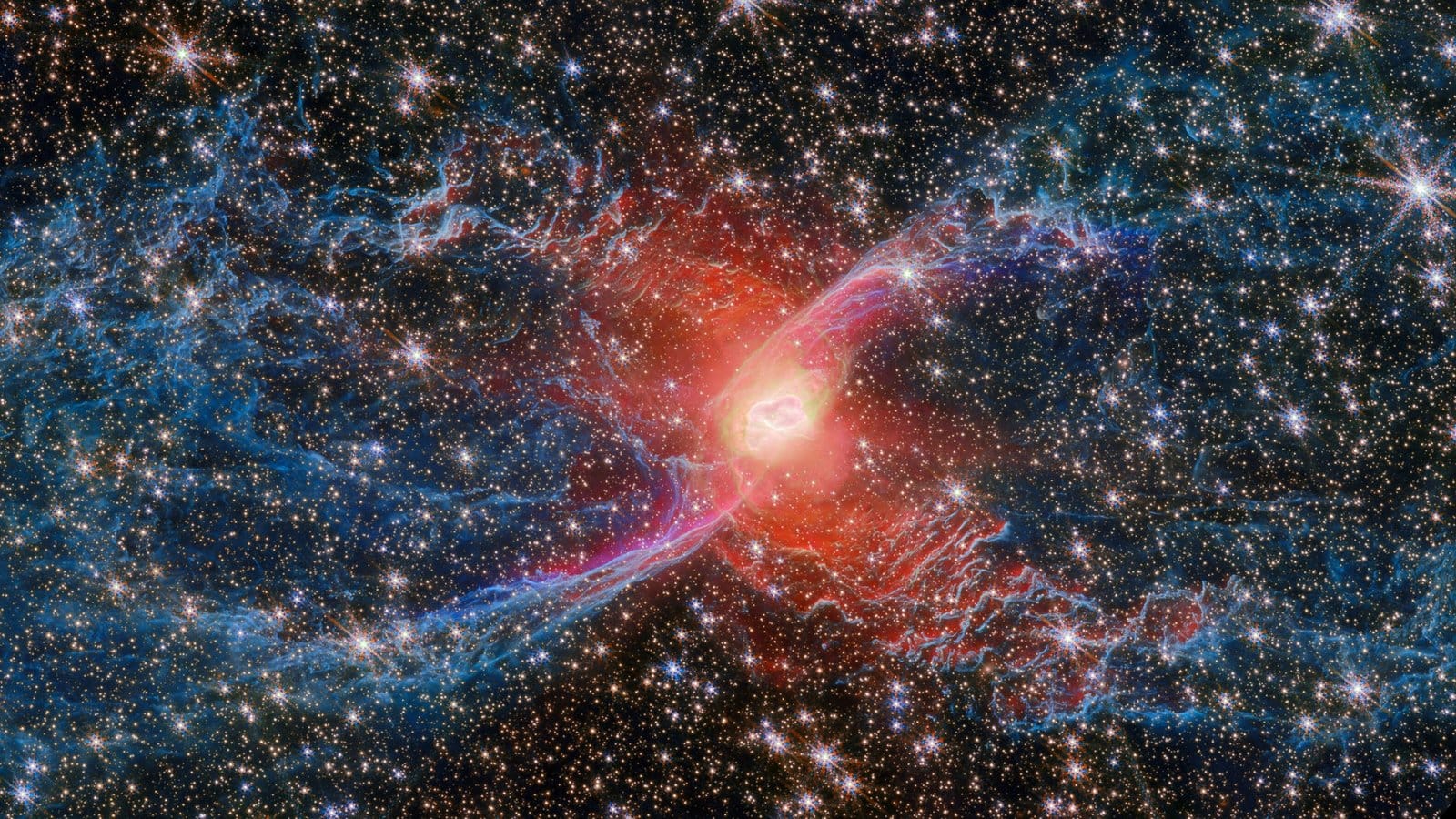 A Spider Among the Stars A Spider Among the Stars