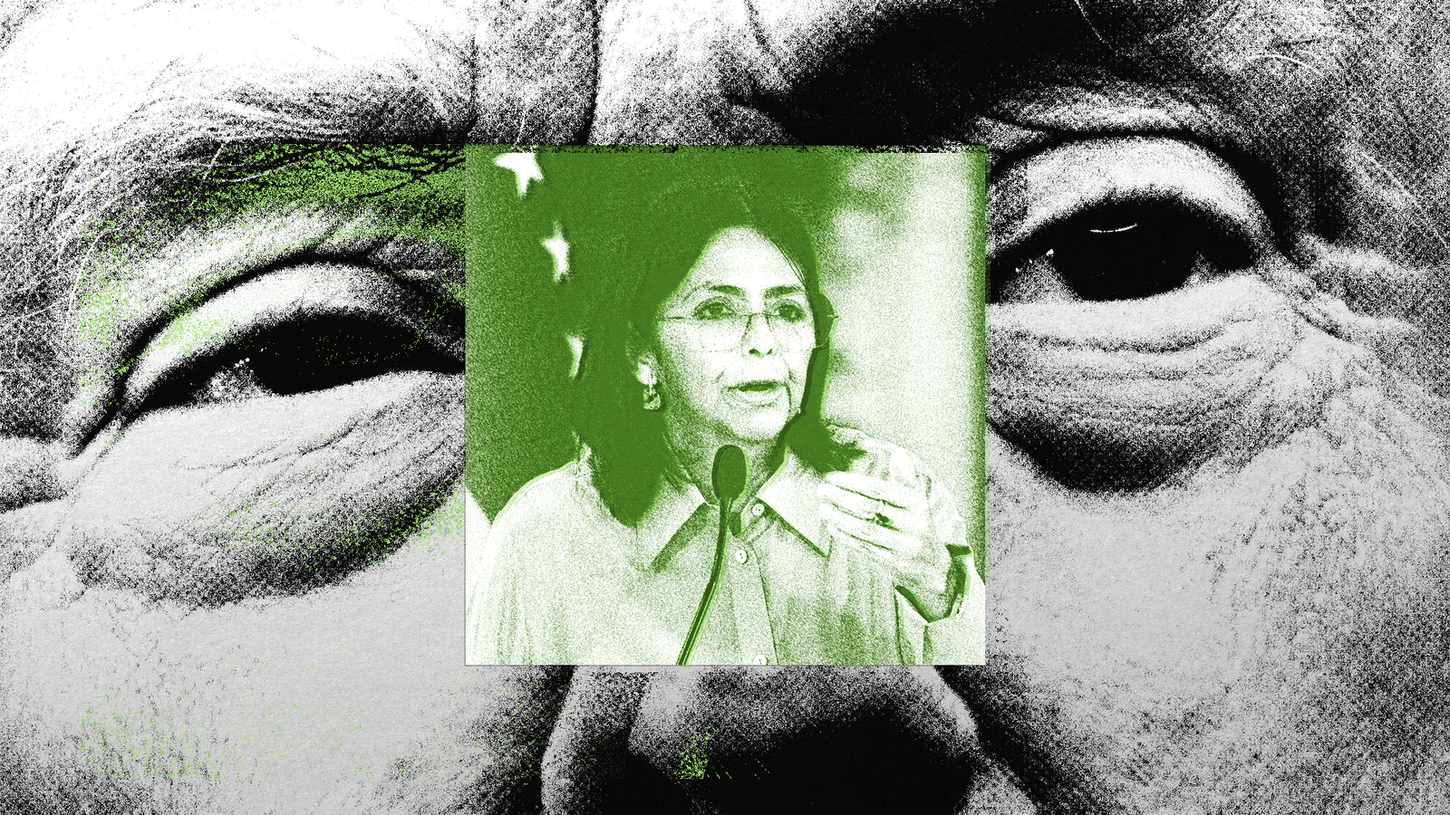 Trump Threatens Venezuela’s New Leader With a Fate Worse Than Maduro’s