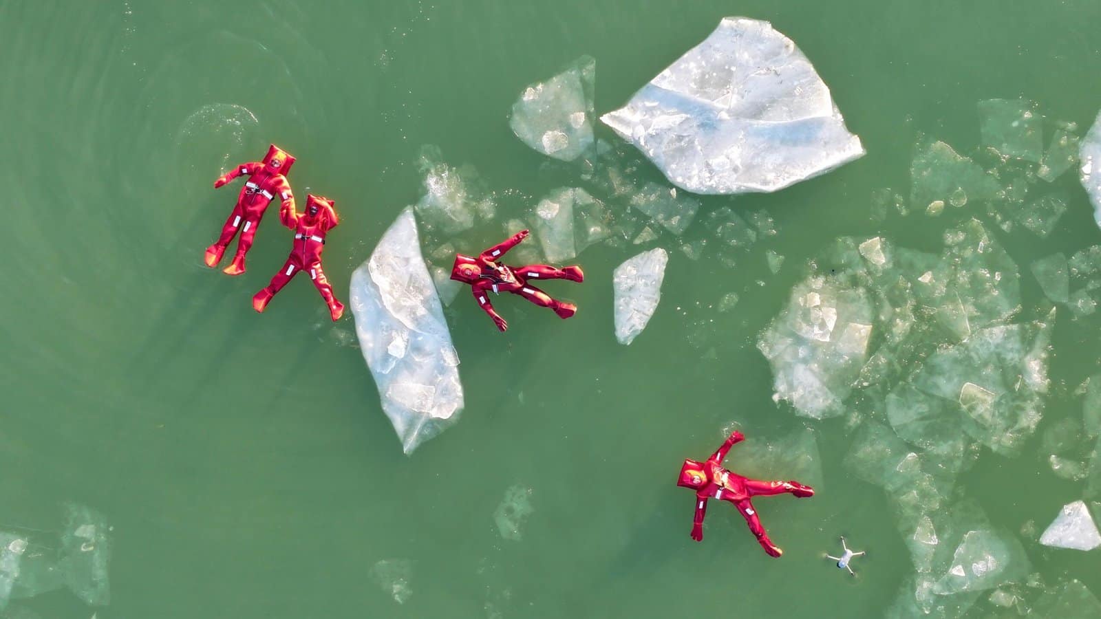 Photos of the Week: Icy Dip, Resting Goose, Campaign Bear