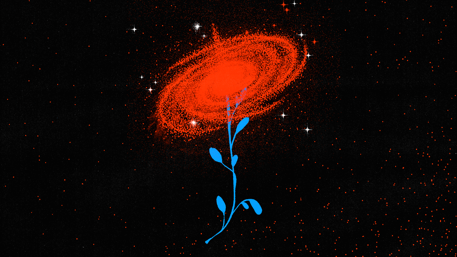 Is Anything Morally Obvious Anymore? Is Anything Morally Obvious Anymore?