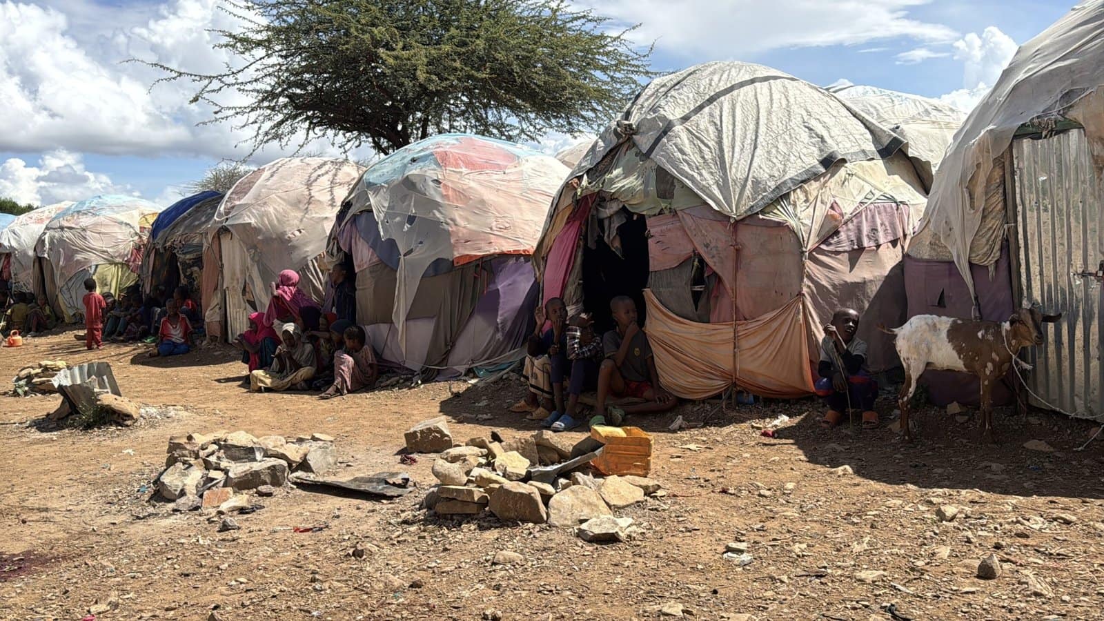 Anti-poverty program is effective even in one of the world’s toughest settings​Fatma Tanis