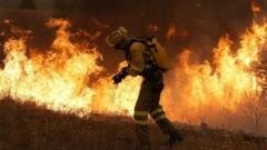 How Australia combines modern tech and Indigenous knowledge to fight wildfires How Australia combines modern tech and Indigenous knowledge to fight wildfires