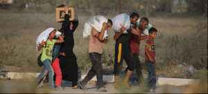 UN warns of deepening health crisis in Gaza amid mass casualty incidents UN warns of deepening health crisis in Gaza amid mass casualty incidents