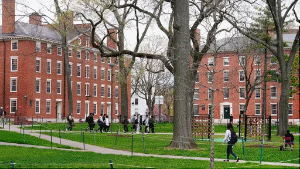 What to expect in Monday’s Harvard-Trump administration hearing What to expect in Monday’s Harvard-Trump administration hearing