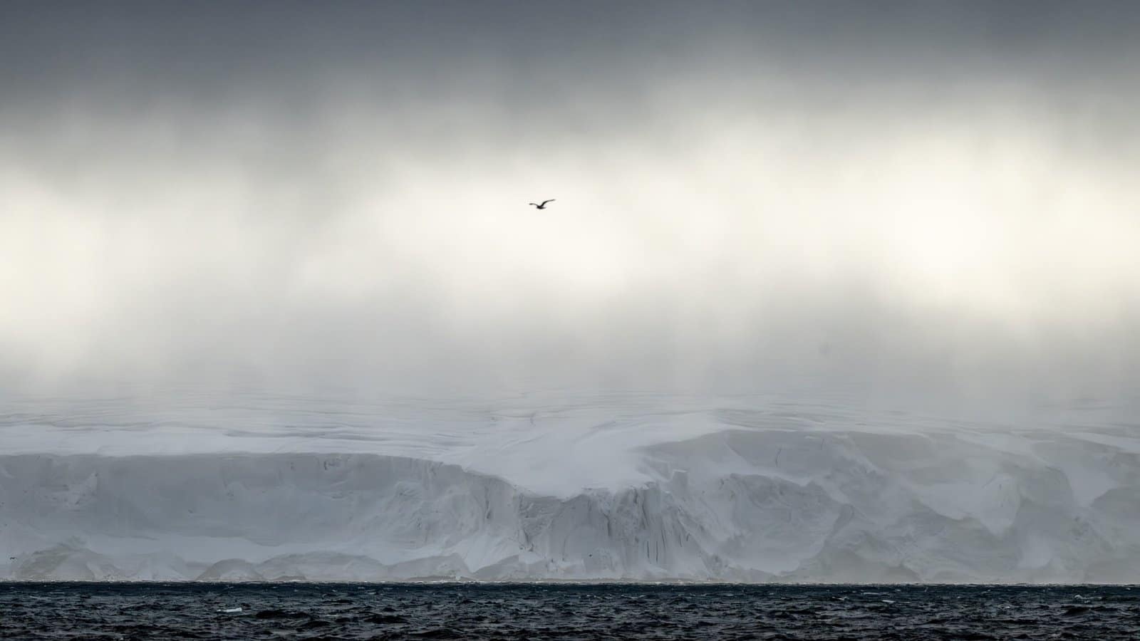The Blind Spot at the Top of the World The Blind Spot at the Top of the World