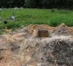 Bodies of 50 infants dumped at Trinidad graveyard